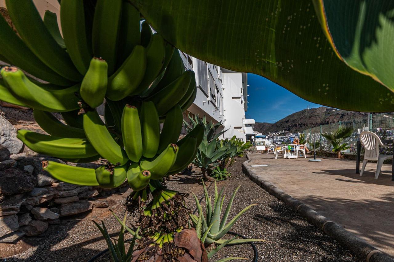 Apartament Puerto Rico Corner Zewnętrze zdjęcie